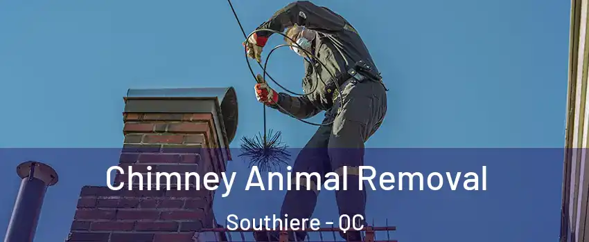 Chimney Animal Removal Southiere - QC