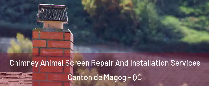  Chimney Animal Screen Repair And Installation Services Canton de Magog - QC