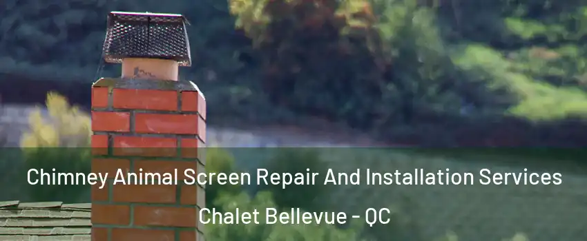  Chimney Animal Screen Repair And Installation Services Chalet Bellevue - QC