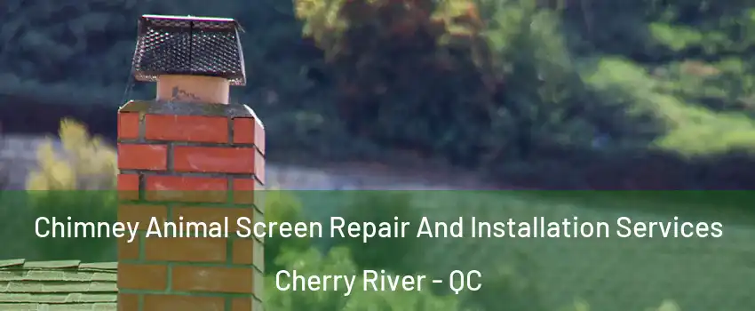  Chimney Animal Screen Repair And Installation Services Cherry River - QC