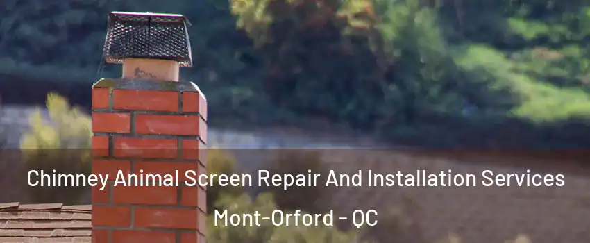  Chimney Animal Screen Repair And Installation Services Mont-Orford - QC