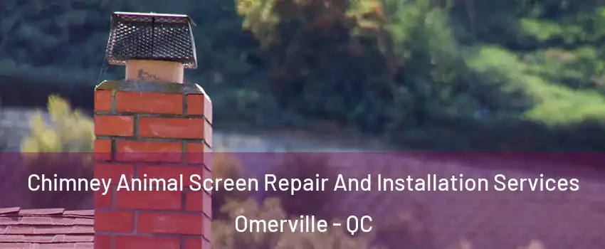 Chimney Animal Screen Repair And Installation Services Omerville - QC