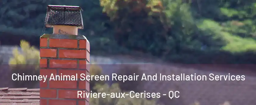  Chimney Animal Screen Repair And Installation Services Riviere-aux-Cerises - QC