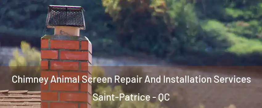  Chimney Animal Screen Repair And Installation Services Saint-Patrice - QC