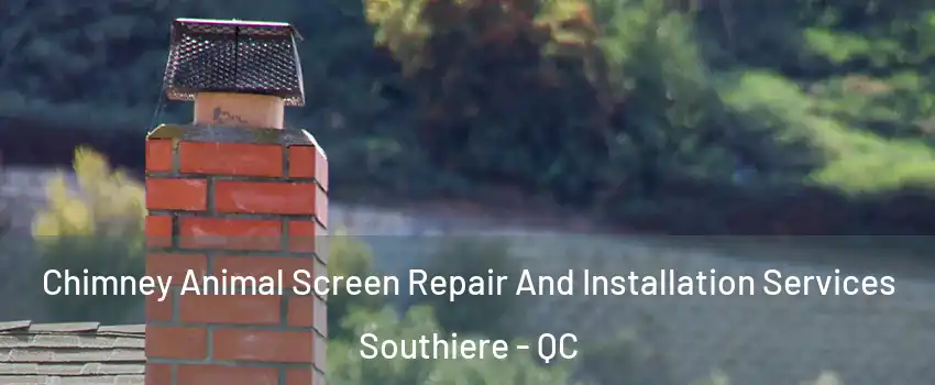  Chimney Animal Screen Repair And Installation Services Southiere - QC