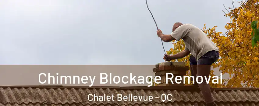  Chimney Blockage Removal Chalet Bellevue - QC