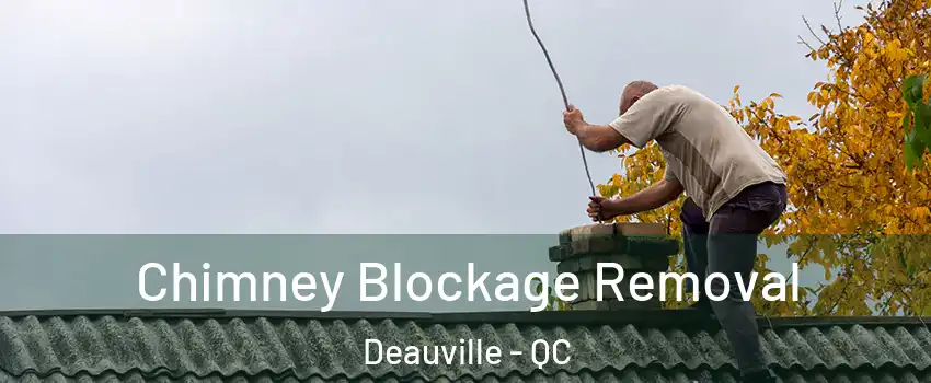  Chimney Blockage Removal Deauville - QC