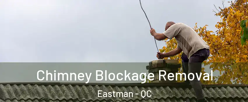  Chimney Blockage Removal Eastman - QC