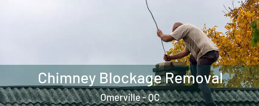  Chimney Blockage Removal Omerville - QC
