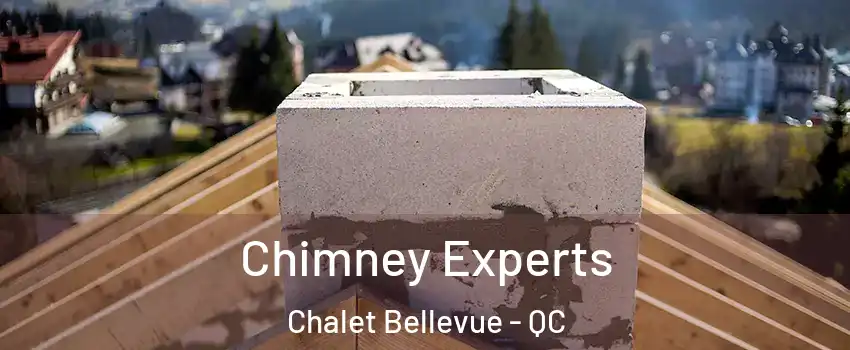 Chimney Experts Chalet Bellevue - QC