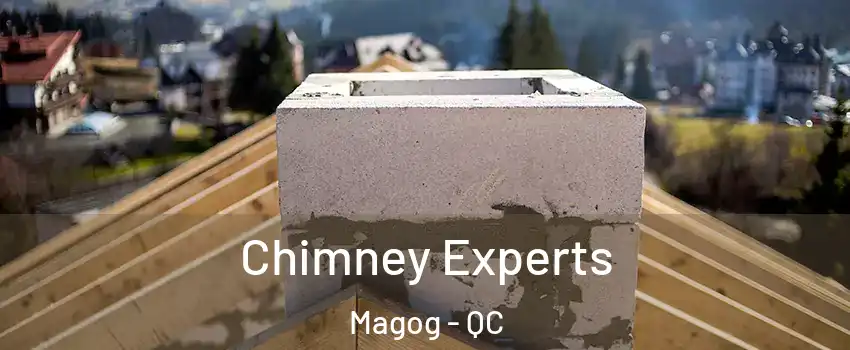 Chimney Experts Magog - QC