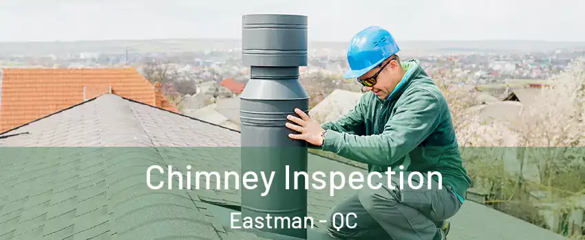  Chimney Inspection Eastman - QC