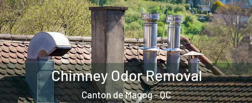  Chimney Odor Removal Canton de Magog - QC