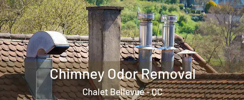  Chimney Odor Removal Chalet Bellevue - QC
