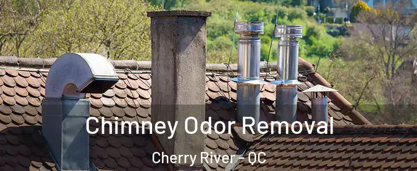  Chimney Odor Removal Cherry River - QC