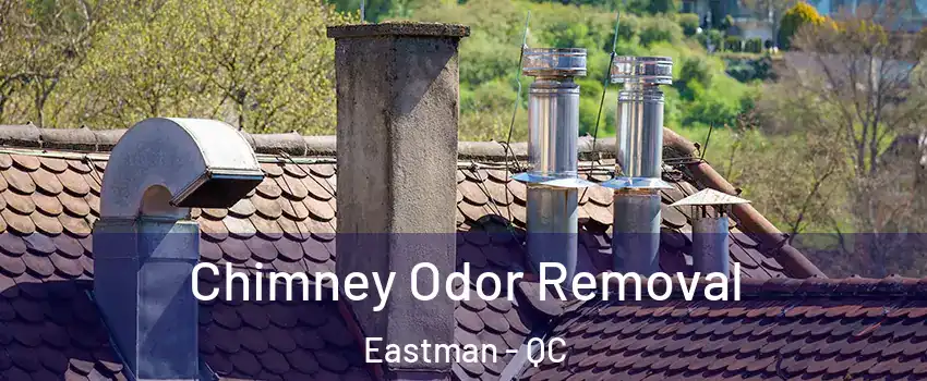  Chimney Odor Removal Eastman - QC