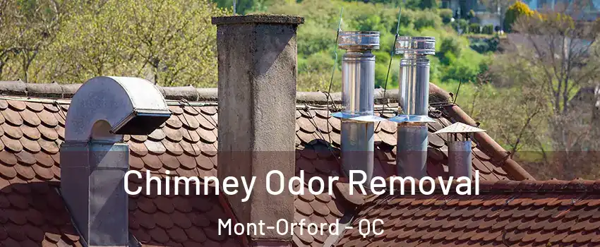  Chimney Odor Removal Mont-Orford - QC