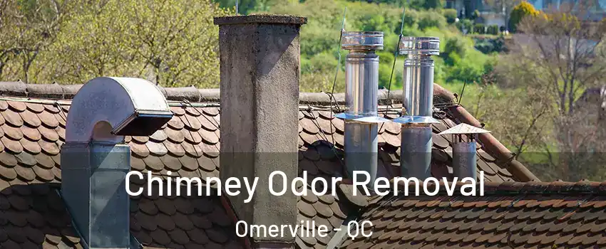  Chimney Odor Removal Omerville - QC