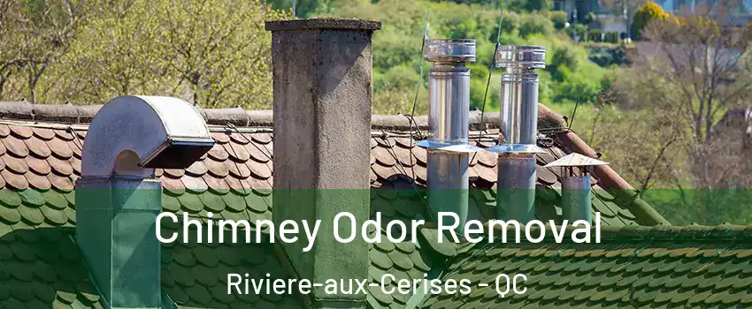  Chimney Odor Removal Riviere-aux-Cerises - QC