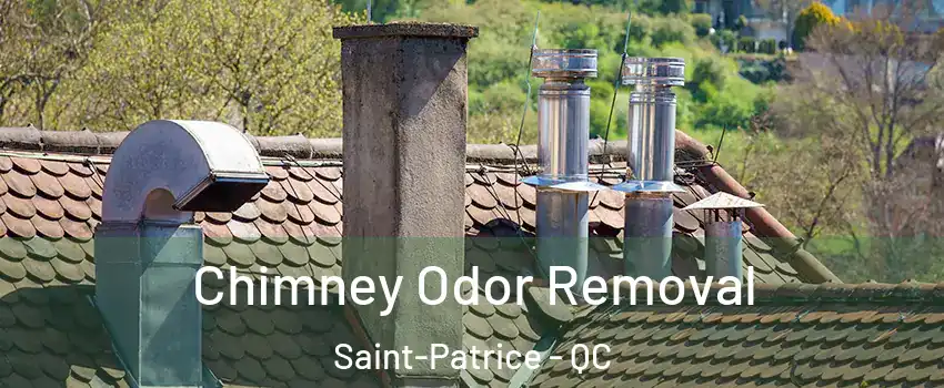  Chimney Odor Removal Saint-Patrice - QC