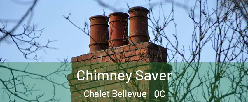  Chimney Saver Chalet Bellevue - QC