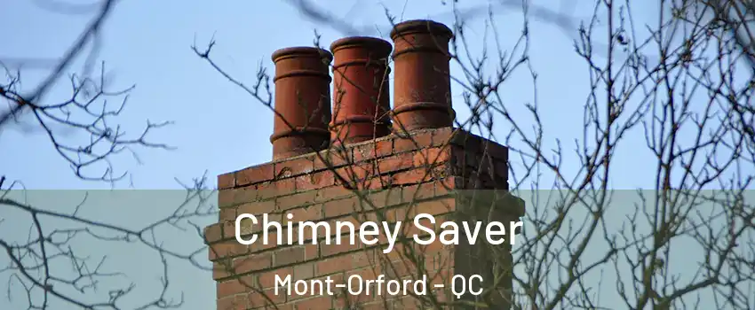  Chimney Saver Mont-Orford - QC