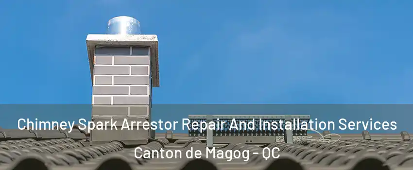  Chimney Spark Arrestor Repair And Installation Services Canton de Magog - QC