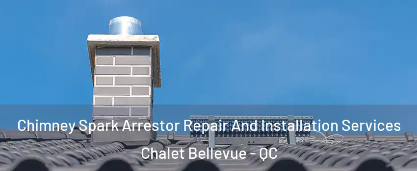  Chimney Spark Arrestor Repair And Installation Services Chalet Bellevue - QC