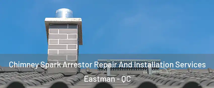  Chimney Spark Arrestor Repair And Installation Services Eastman - QC