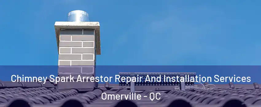  Chimney Spark Arrestor Repair And Installation Services Omerville - QC