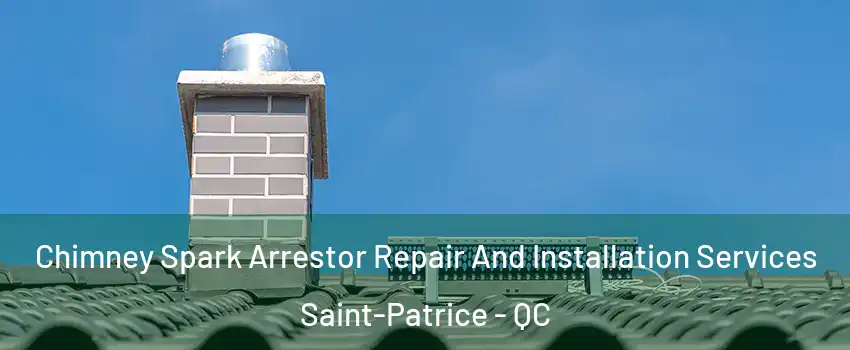  Chimney Spark Arrestor Repair And Installation Services Saint-Patrice - QC