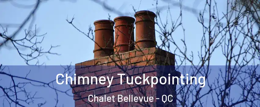  Chimney Tuckpointing Chalet Bellevue - QC