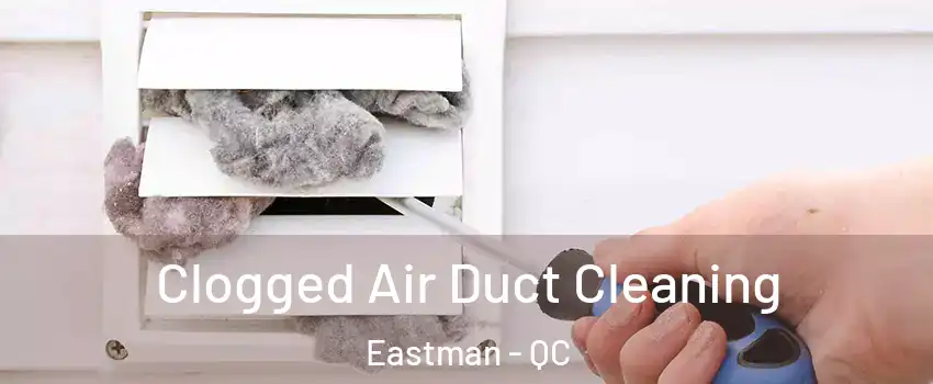  Clogged Air Duct Cleaning Eastman - QC