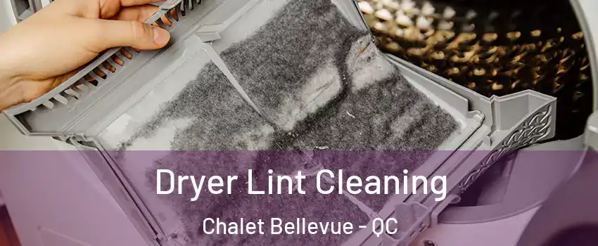  Dryer Lint Cleaning Chalet Bellevue - QC
