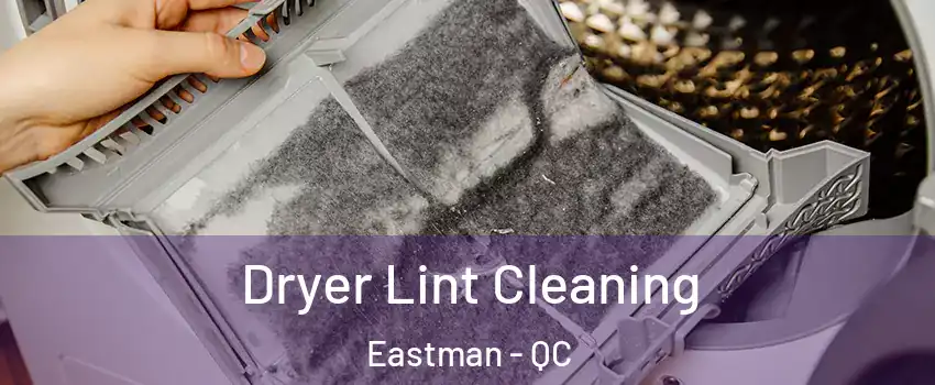  Dryer Lint Cleaning Eastman - QC