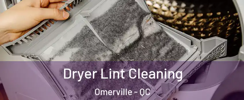  Dryer Lint Cleaning Omerville - QC