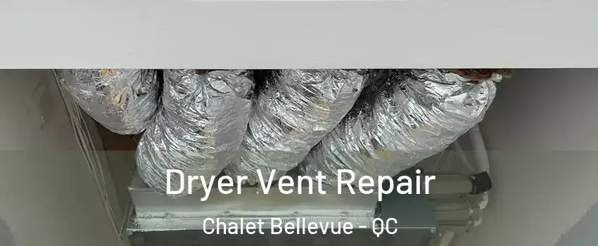  Dryer Vent Repair Chalet Bellevue - QC