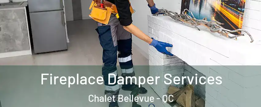Fireplace Damper Services Chalet Bellevue - QC