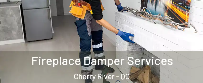  Fireplace Damper Services Cherry River - QC