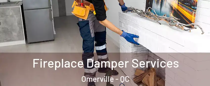  Fireplace Damper Services Omerville - QC