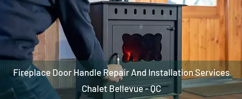  Fireplace Door Handle Repair And Installation Services Chalet Bellevue - QC