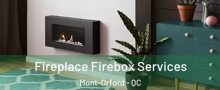  Fireplace Firebox Services Mont-Orford - QC