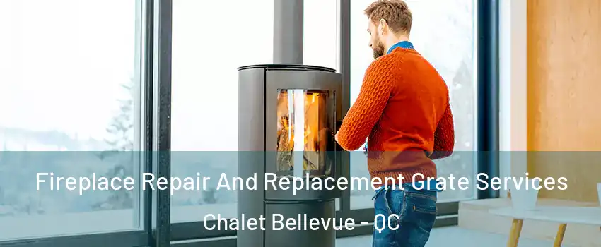  Fireplace Repair And Replacement Grate Services Chalet Bellevue - QC