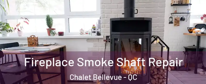  Fireplace Smoke Shaft Repair Chalet Bellevue - QC