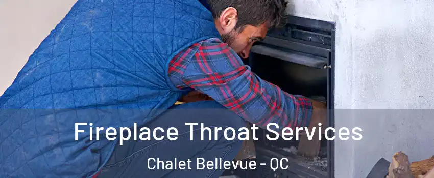  Fireplace Throat Services Chalet Bellevue - QC