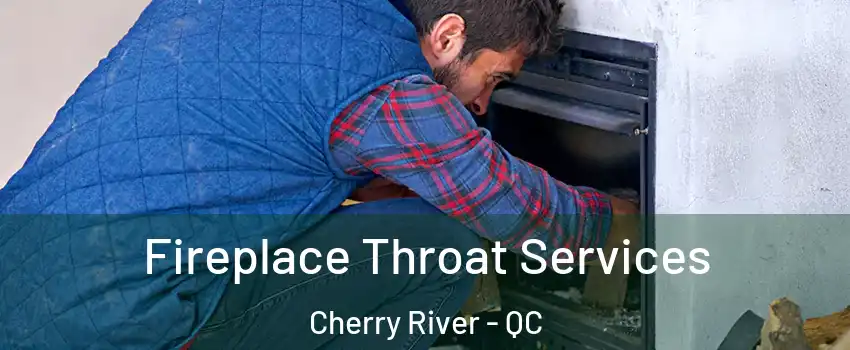  Fireplace Throat Services Cherry River - QC