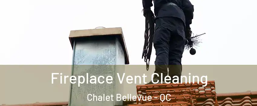  Fireplace Vent Cleaning Chalet Bellevue - QC