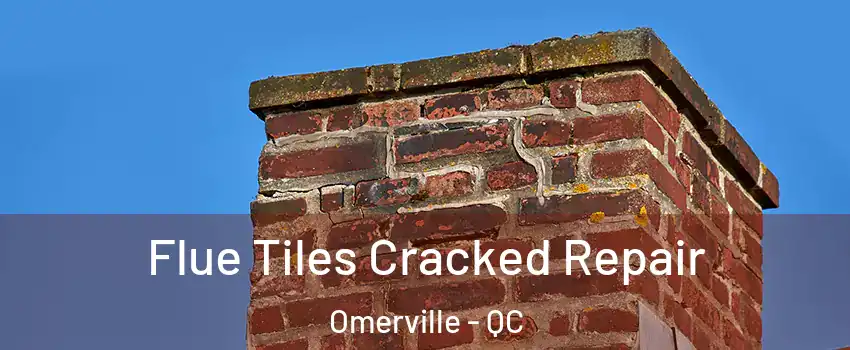  Flue Tiles Cracked Repair Omerville - QC