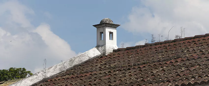 Wind-Resistant Chimney Caps Installation and Repair Services in Canton de Magog, Quebec