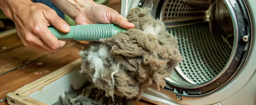 Best Dryer Lint Removal Company in Canton de Magog, Quebec